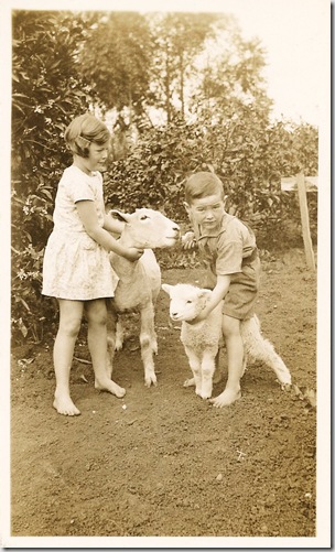 irene-macneil-animals-web irene-macneil-animals-web