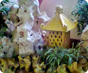 Foto0756 Foto0756