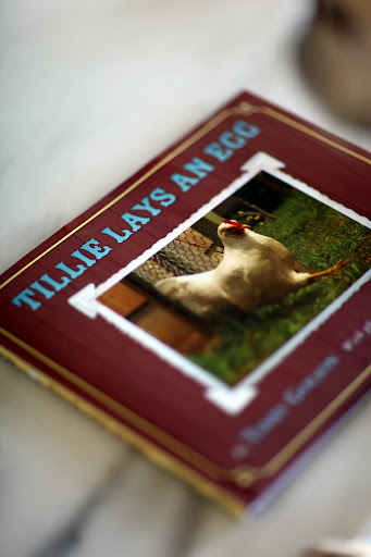 This book is called Tillie Lays an Egg  by Terry Golson.  It's about a silly hen at Little Pond Farm who likes to wander.