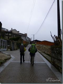 P1030762 P1030762