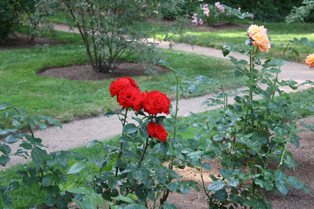 [IMG_7158%255B3%255D.jpg]