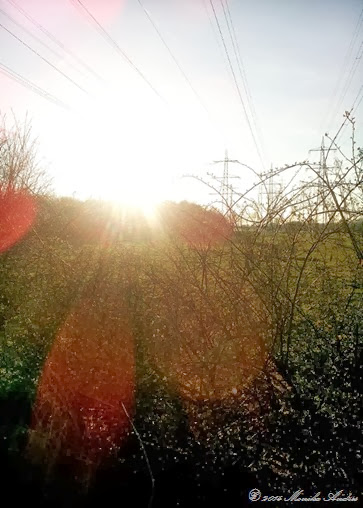 Sonnenschein Sonnenschein