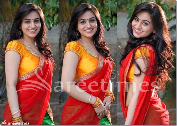 Aksha_Ruffled_Sleeves_Saree_Blouse