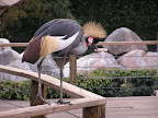 p1292154079(7).jpg
