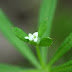 20100403_110