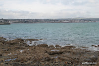 IMG_8016.JPG Photo