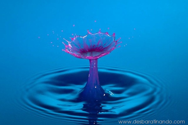 liquid-drop-art-gotas-caindo-foto-velocidade-hora-certa-desbaratinando (75) liquid-drop-art-gotas-caindo-foto-velocidade-hora-certa-desbaratinando (75)