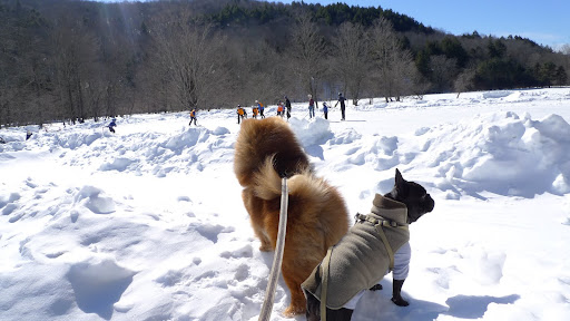 Well, actually, Francesca - it's called ice hockey, and it's quite exciting and fun.