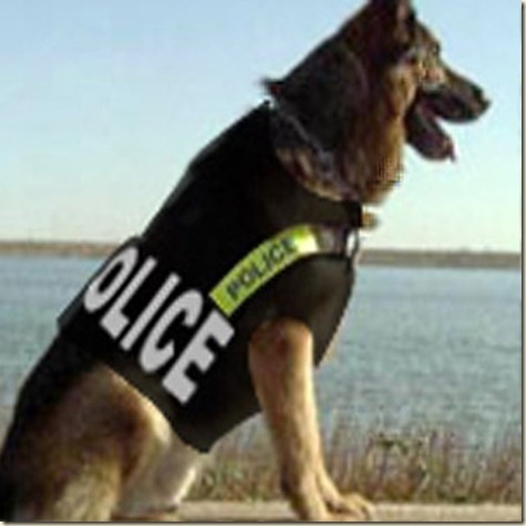 adiestramiento de perros policia