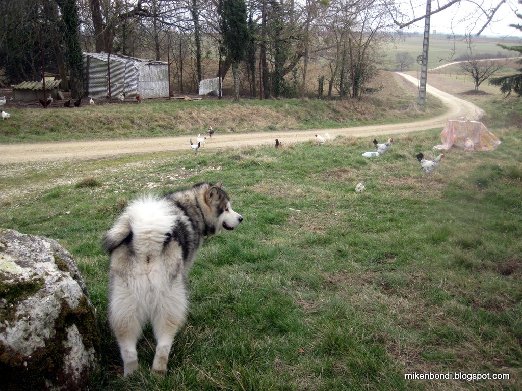 [IMG_0504%255B5%255D.jpg]