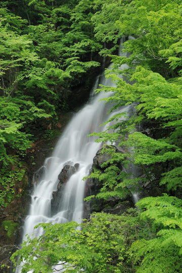 ニコイ大滝