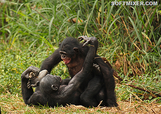 [clip_image011%255B9%255D.png]