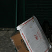 2010 (19).JPG