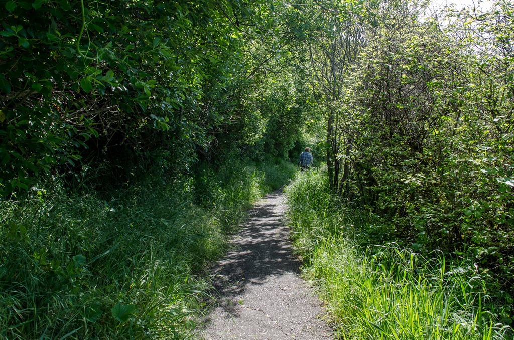 [Two%2520Trails_132%255B3%255D.jpg]