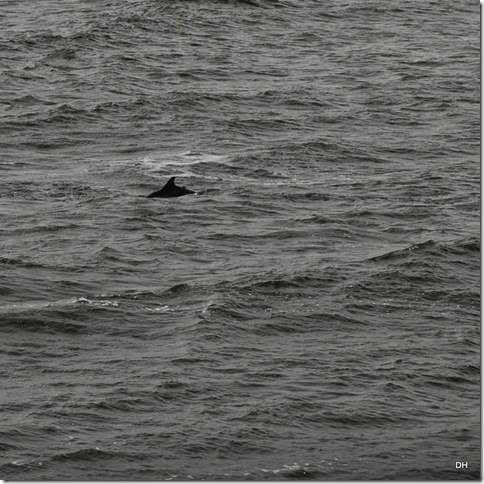 03-24-15 A Cruise to Fort Sumter (142)a