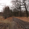 dsc05366.jpg