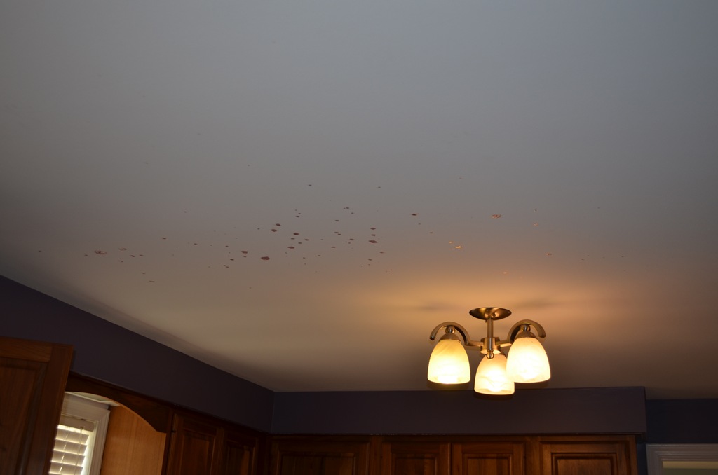 [DSC_2405%255B3%255D.jpg]