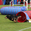 IMG_0776.JPG