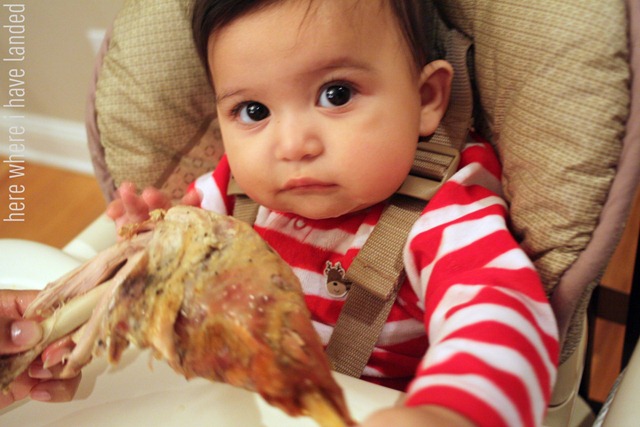 [ThumperTurkeyLeg%255B3%255D.jpg]