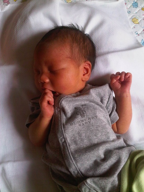 [IMG00713-20111219-1328%255B3%255D.jpg]