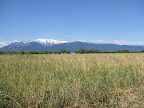Immagine 002.jpg Immagine 002.jpg