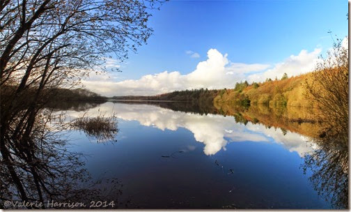 17 Whitefield-Loch-panorama-2