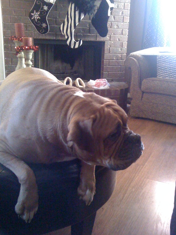 [IMG_0657%255B3%255D.jpg]