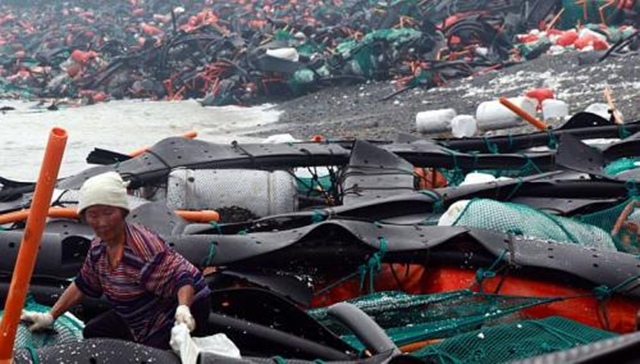 A woman collects abalone at a beach covered with garbage and equipment used for abalone farming in the aftermath of Typhoon Bolaven in Wando, about 360 km south of Seoul, on 29 August 2012. AFP