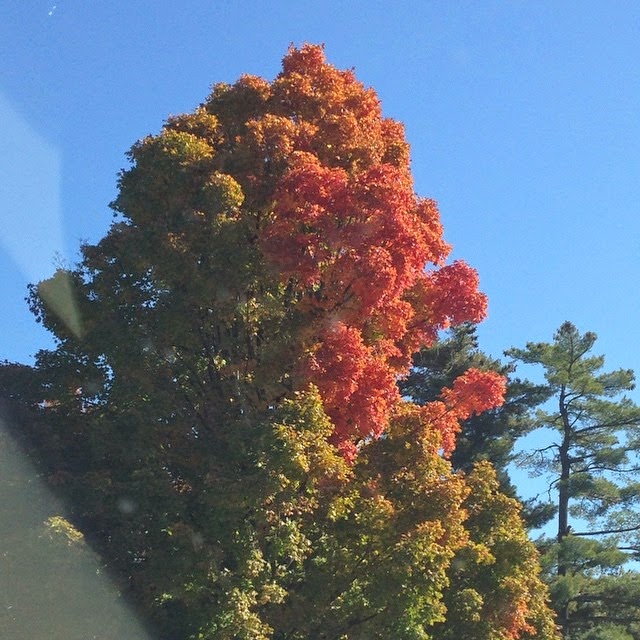 [2014-10-21_1413912678%255B3%255D.jpg]