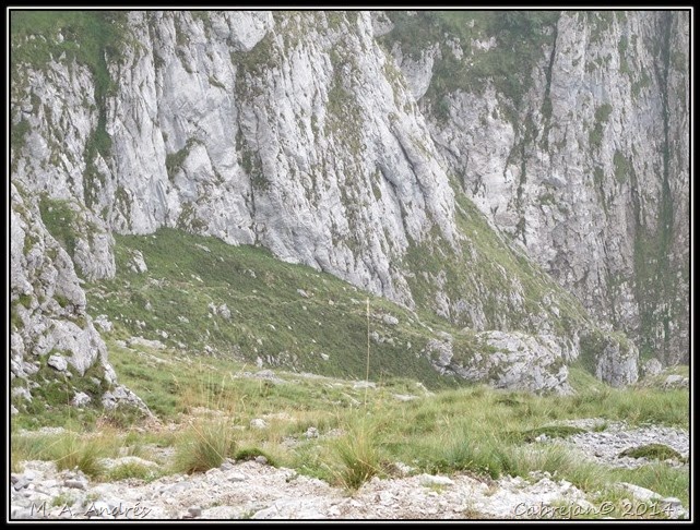 Picos 431 Picos 431