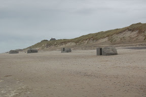 DSC_0167.JPG