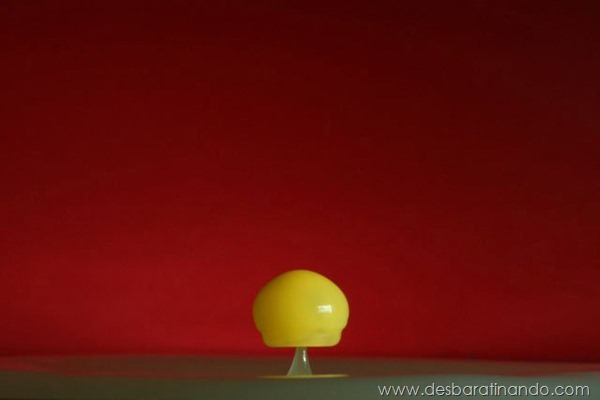 liquid-drop-art-gotas-caindo-foto-velocidade-hora-certa-desbaratinando (152) liquid-drop-art-gotas-caindo-foto-velocidade-hora-certa-desbaratinando (152)