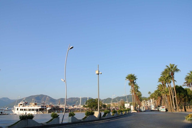 DSC_0767 DSC_0767