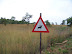 South Africa Day 1 - On Safari