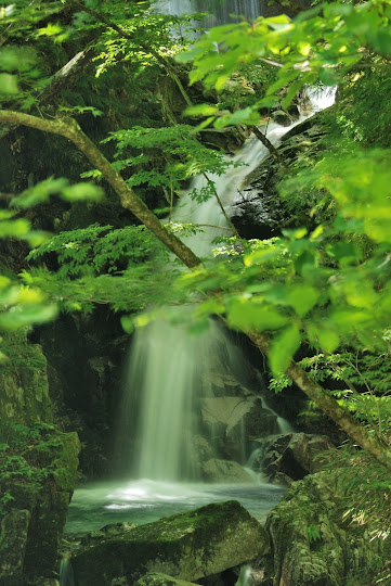 甚四郎滝