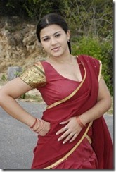 swetha-tamil-actress-hot swetha-tamil-actress-hot