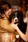 My mom carried Winnie across the dance floor. My mom carried Winnie across the dance floor.