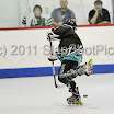 BIPNATS2011-12G20_0003.JPG