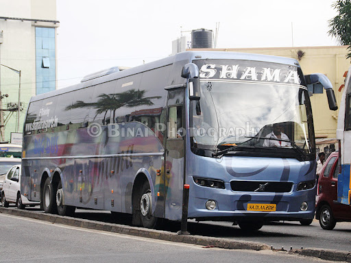 Shama Big Bus