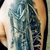 Praying Mantis