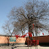 Temple Yaowangmiao : arbre à voeux