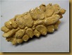 Fosil kacang tanah - bawah