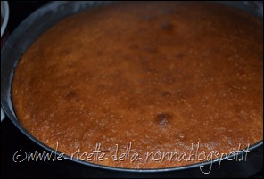 Torta soffice allo yogurt con farina di farro (5)