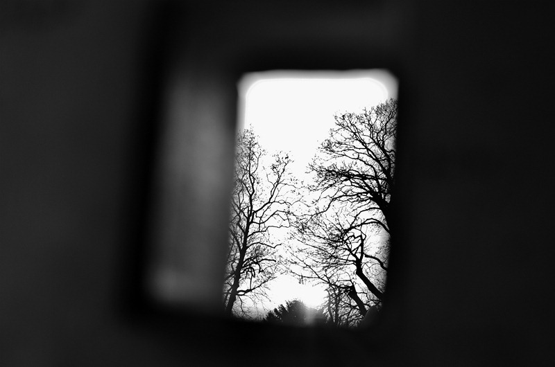 _DSC0205 _DSC0205