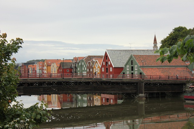 IMG_2590 IMG_2590