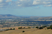 DSC_7334.jpg
