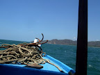 Step 1: Head out to sea.