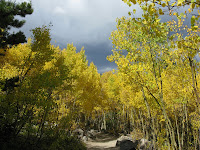 On the trail.