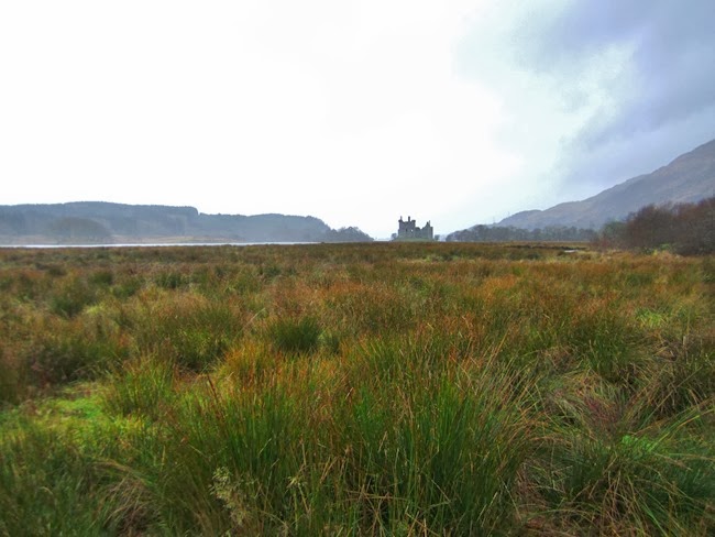 [Scotland%2520035%255B4%255D.jpg]