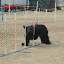 DSC_0065.JPG